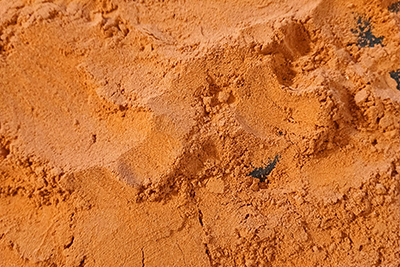 Earthy Goodies Red Cali Dust. 1/2 lb pack