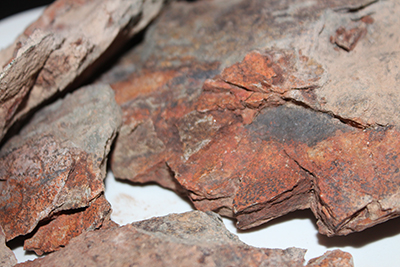 New River Cement Rock is super earthy rocks with a wonderful crunch. The inner rock is reminiscent of cement as it sets.